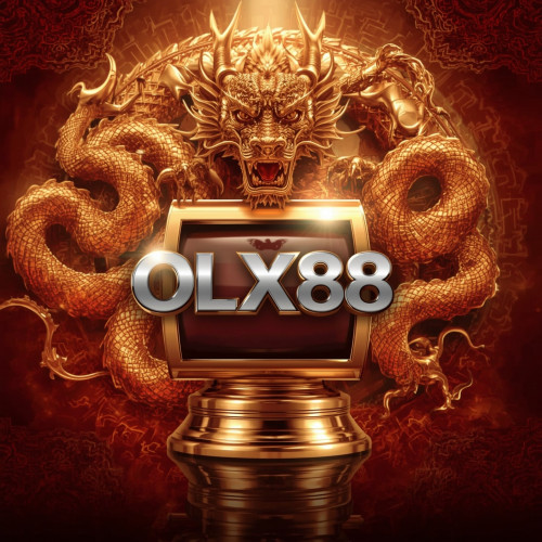 olx881-min.jpg