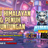 Misteri-Kehidupan-Harimau-Himalayan-yang-Penuh-Keberuntungan_0