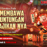 cerita-peternakan-babi-yang-membawa-keberuntungan-bagi-majikan-nya