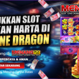 fortunedragon