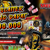 Mega-scatter-langsung