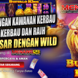 bergabung-bufalloking