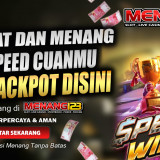 speedmenang