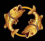 icon-ikan79.png